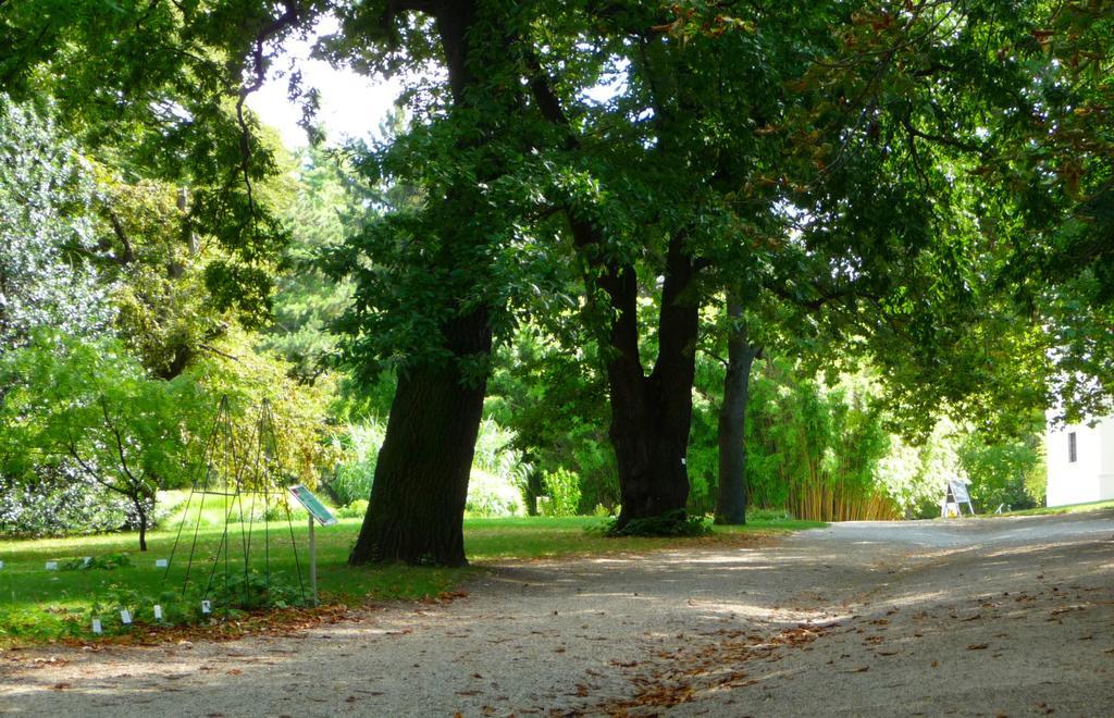 Streetview Wien - Premium Apartment Beim Belvedere Ngoại thất bức ảnh